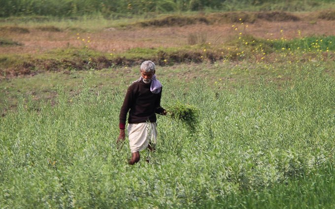 Direct benefit transfers can help double Indian farmers’ income by 2022-2023