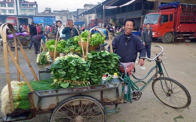 china_vegetables