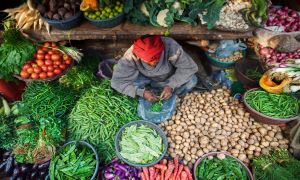 IFPRI South Asia Discussion of the 2020 Global Food Policy Report