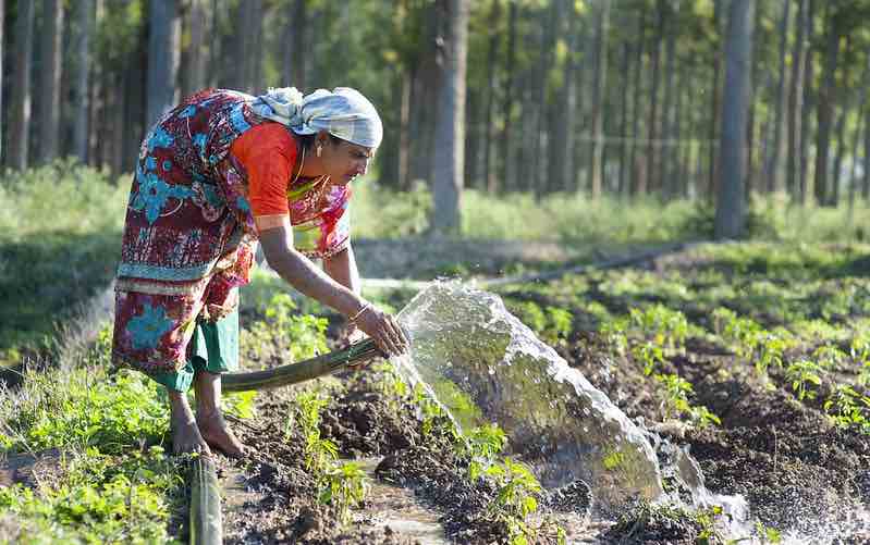 ANEW way forward: Strategies to promote women’s empowerment in farmer producer organizations