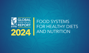 2024 Global Food Policy Report: Improving Diets and Nutrition through Food Systems: What Will it Take?
